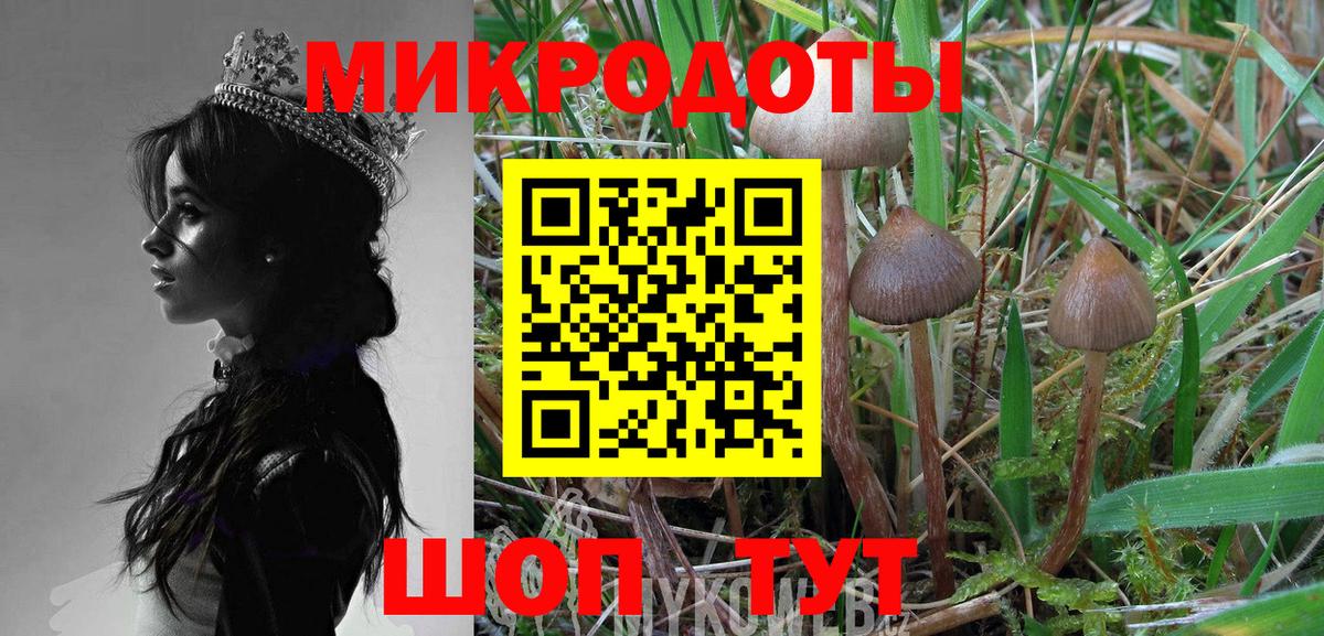 Галлюциногенные грибы GOLDEN TEACHER Улан-Удэ