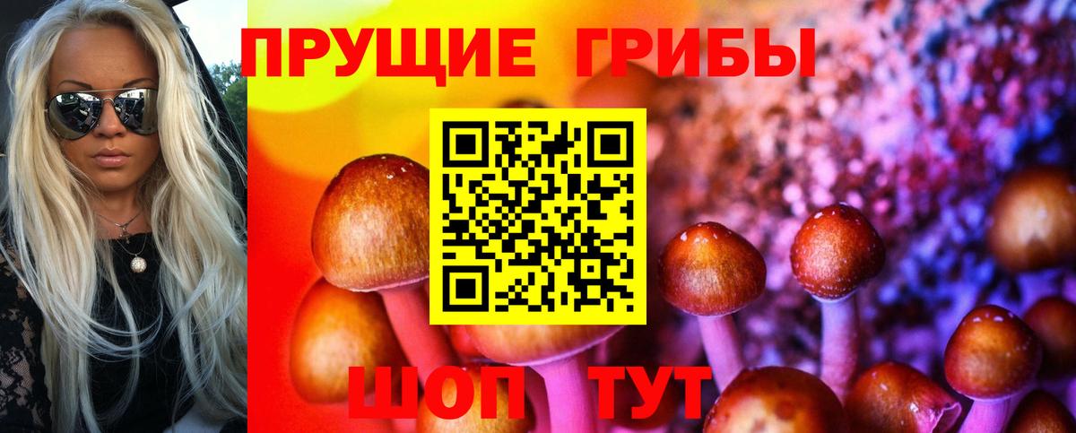 Улан-Удэ  Галлюциногенные грибы GOLDEN TEACHER  Вход с VPN 